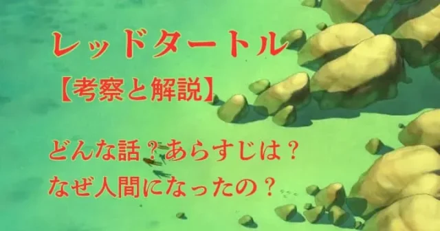 【レッドタートル考察と解説】「意味分からない・どんな話？」を解決！あらすじは？なぜ人間になったの？